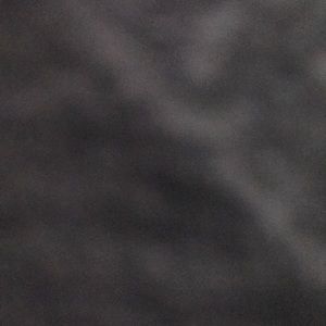 Meet your Posher, Shanell